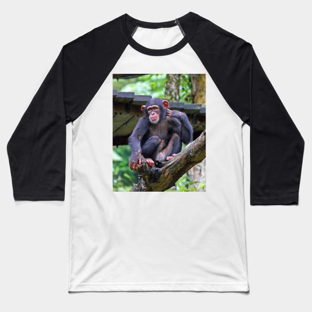 Chimpanzee Baseball T-Shirt by LeanneAllen